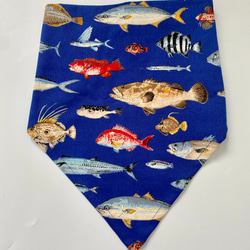 お魚柄☆120〜130こどもエプロン、三角巾、巾着の3点セット 6枚目の画像