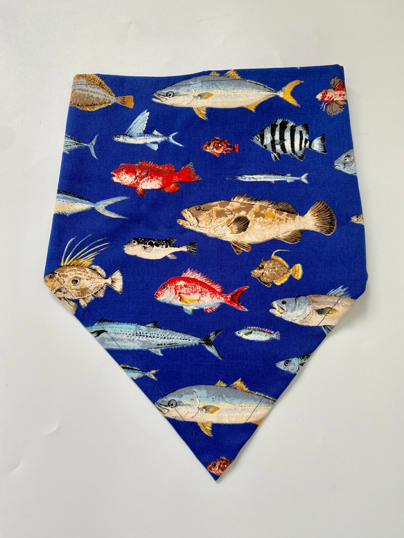 お魚柄☆120〜130こどもエプロン、三角巾、巾着の3点セット 6枚目の画像
