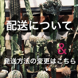 配送について＋配送方法の変更はこちらをお読みください その他