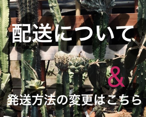 【きらきら】配送方法変更 配送方法を設定する - カラーミーショップ詳細設定マニュアルカラー