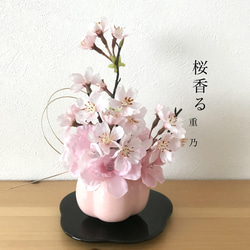 creema限定  新作　桜〜fuku ume 1枚目の画像