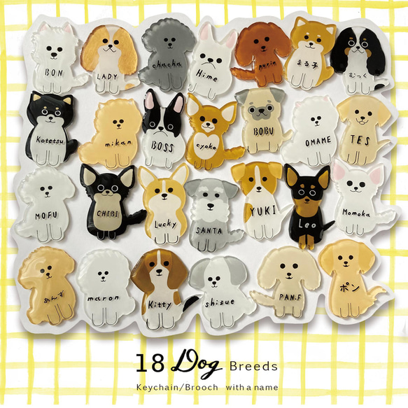 《オーダー品》楕円型　18犬種 愛犬 「うちの子」名入れキーホルダー/ブローチ 12枚目の画像