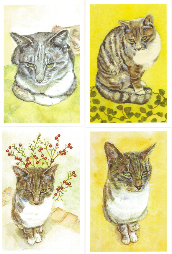 縞猫4種　4枚セット 2枚目の画像
