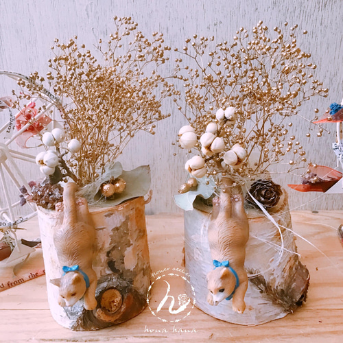 猫の日2023❤︎白樺のゴールドカスミ草dryのオブジェに❤︎ぶら下がり