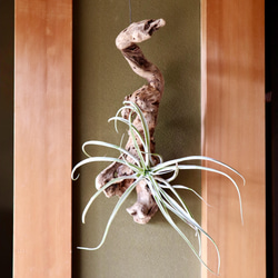 流木アート⚫︎オブジェ 置物 インテリア 飾り レイアウト コンクリート盆栽 流木オブジェ】ディスプレイ 什器 アクセサリー