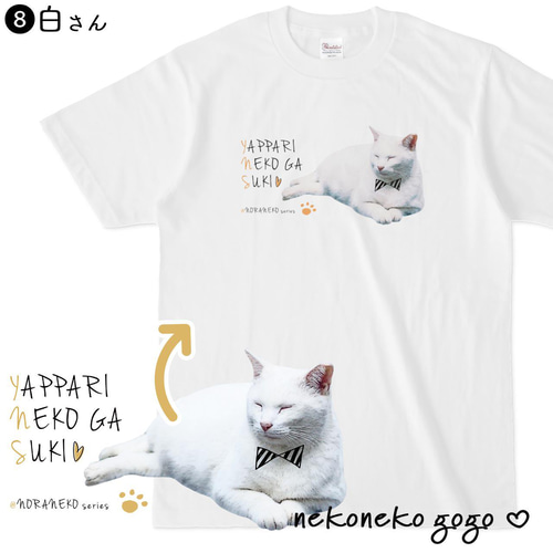 猫さんTシャツ（地域猫さんシリーズ） Tシャツ ねこねこ