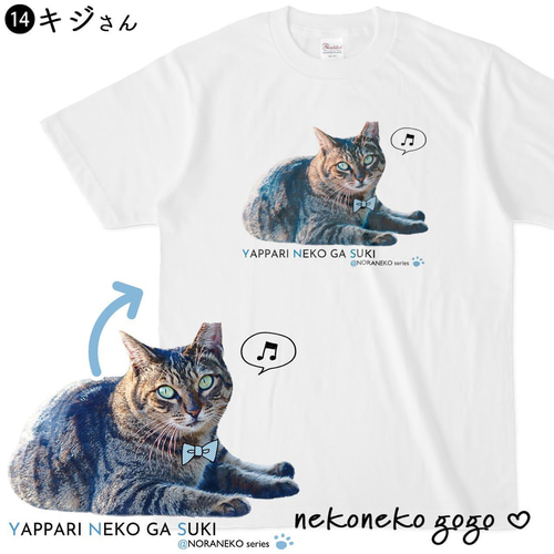 猫さん 楽天市場】カレンダー 2026 壁掛け 猫 ねこと生活 みかんと