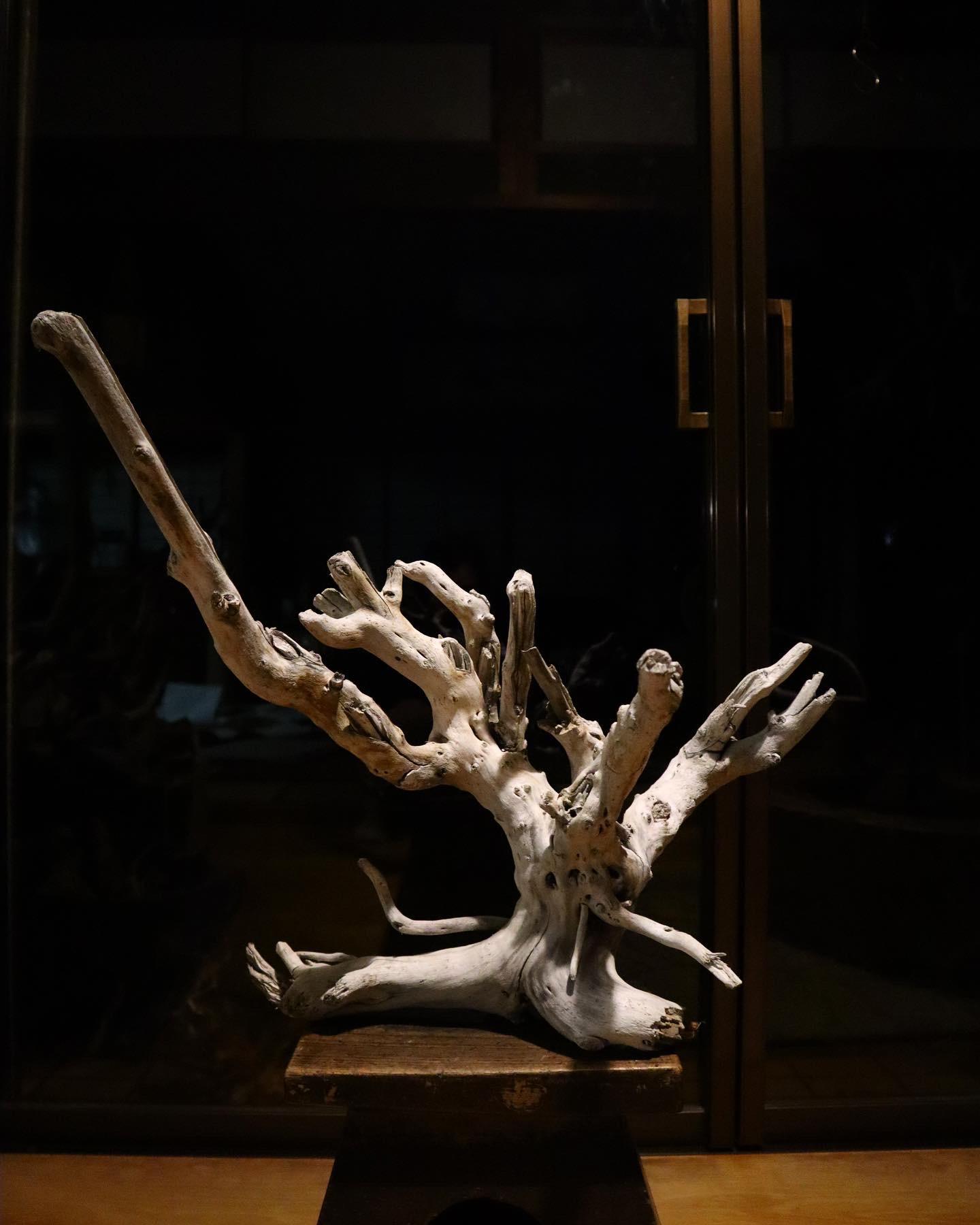 No.699⚜️希少流木のウォールミラー 流木インテリア 流木アート オブジェ棚 No.699⚜️希少流木のウォールミラー 流木インテリア 流木アート