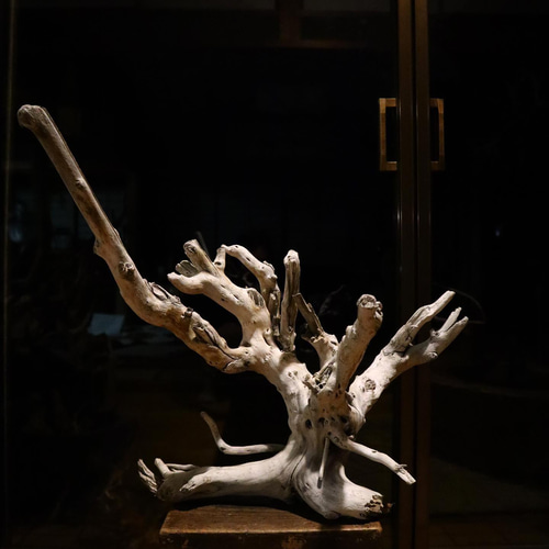 御神木 アート インテリア 生花 オブジェ 花と流木のオブジェ | dodotokyo