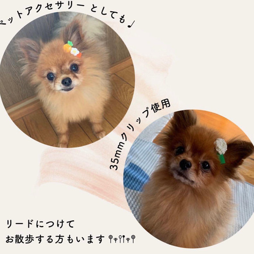 送料込み2つセット♩柴犬の仲間達♩動物さんのベビーヘアクリップ