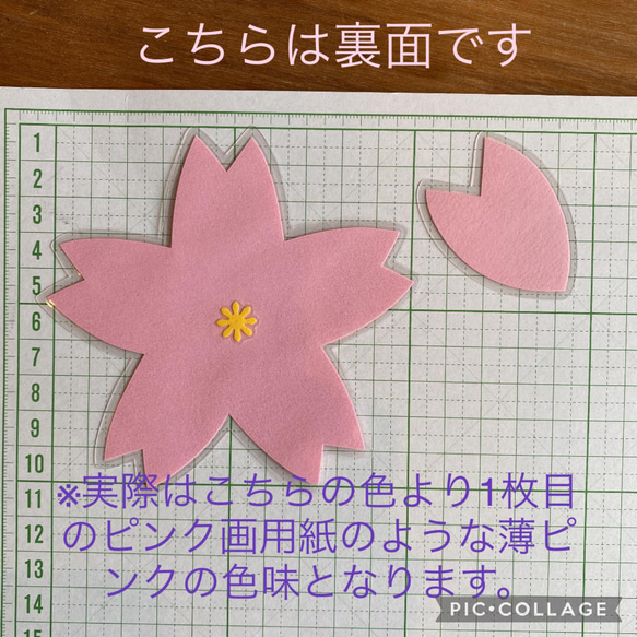 送料無料　桜の花　花びら　リバーシブル　ラミネート済　壁面　保育園　幼稚園　学校　介護施設 6枚目の画像