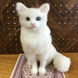 da02f2f498a8445a8cf8e8058433ba