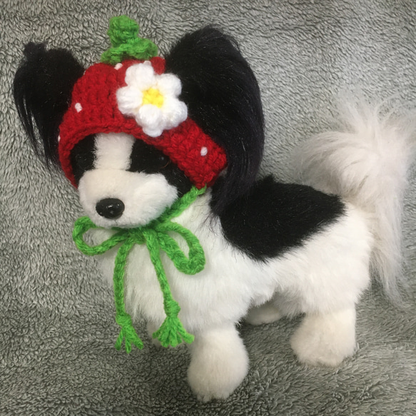 苺の帽子❤️小型犬用ニット帽・猫用ニット帽 2枚目の画像