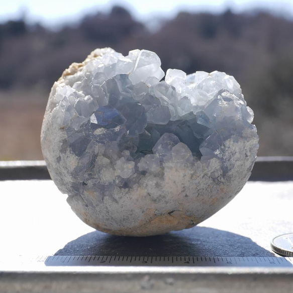 天然石 約303g約61mmセレスタイト(マダガスカル産)半球原石結晶ぎっしり天青石[ce-220220-01] 5枚目の画像