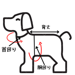  第7張的照片