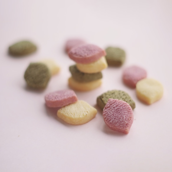  第3張的照片