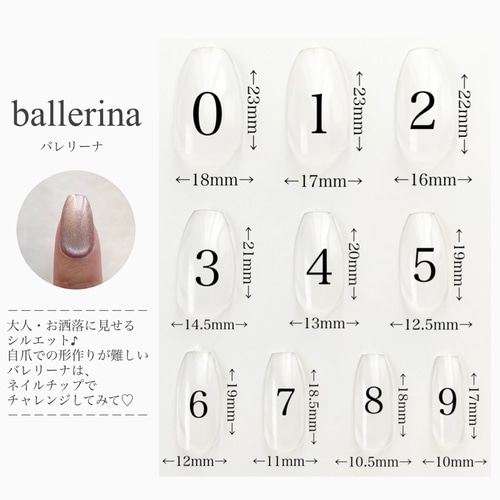 サイズ確認用サンプルチップ ネイルチップ オーダーメイド ネイル