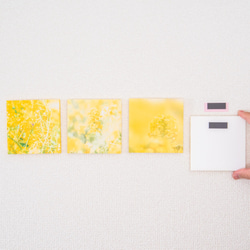 SQU4RE -Square- [黃色快樂] 為你的新生活增添色彩的室內照片 第10張的照片