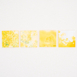 SQU4RE -Square- [黃色快樂] 為你的新生活增添色彩的室內照片 第8張的照片