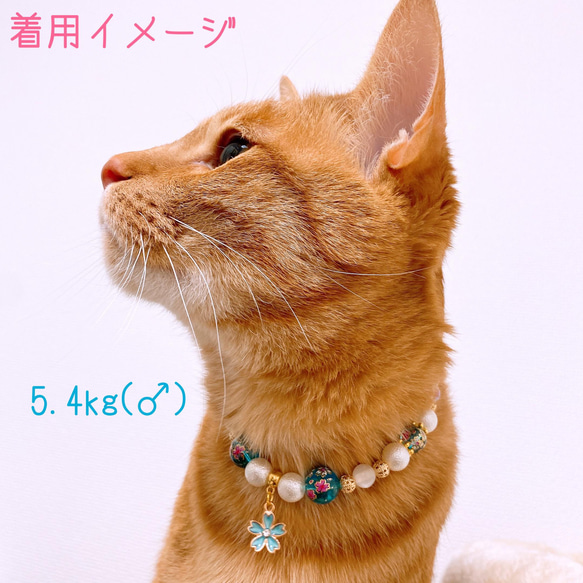 猫の首輪 春 桜ビーズ✨ネックレス首輪♡ブルー桜チャーム 7枚目の画像