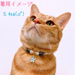 猫の首輪 春 桜ビーズ✨ネックレス首輪♡ブルー桜チャーム 5枚目の画像