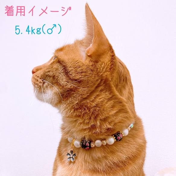 猫の首輪 春 桜ビーズ✨ネックレス首輪♡ブラック桜チャーム 7枚目の画像