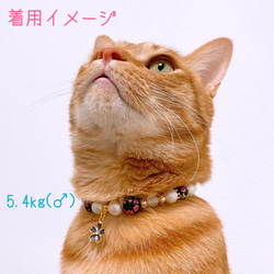猫の首輪 春 桜ビーズ✨ネックレス首輪♡ブラック桜チャーム 6枚目の画像