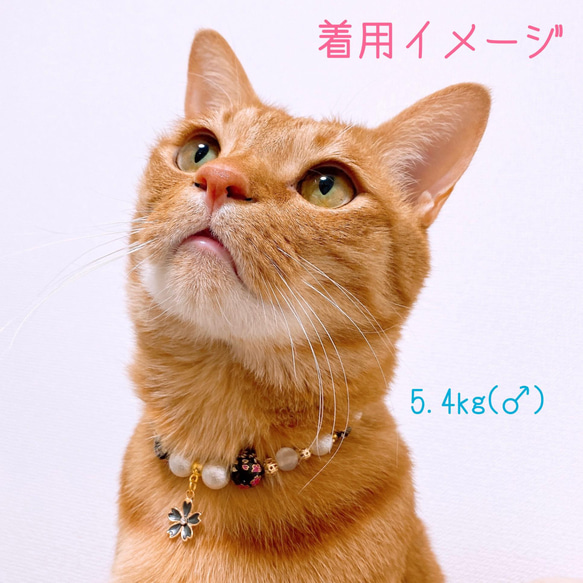 猫の首輪 春 桜ビーズ✨ネックレス首輪♡ブラック桜チャーム 5枚目の画像