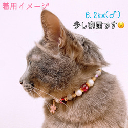 猫の首輪 春 桜ビーズ✨ネックレス首輪♡レッド桜チャーム 7枚目の画像