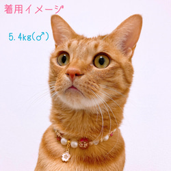 猫の首輪 春 桜ビーズ✨ネックレス首輪♡レッド桜チャーム 7枚目の画像