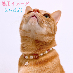 猫の首輪 春 桜ビーズ✨ネックレス首輪♡レッド桜チャーム 8枚目の画像