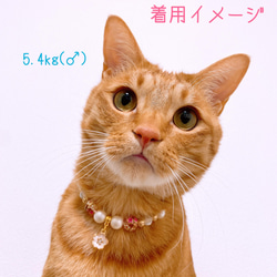 猫の首輪 春 桜ビーズ✨ネックレス首輪♡レッド桜チャーム 5枚目の画像