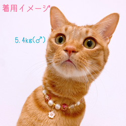 猫の首輪 春 桜ビーズ✨ネックレス首輪♡レッド桜チャーム 6枚目の画像