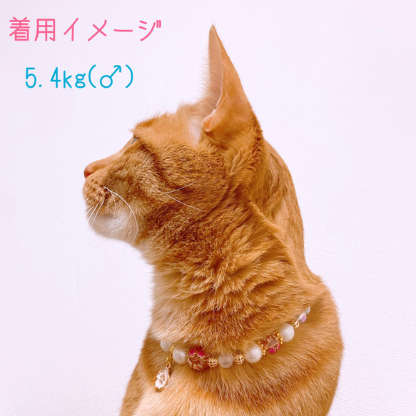 猫の首輪 春 桜ビーズ✨ネックレス首輪♡レッド桜チャーム 9枚目の画像
