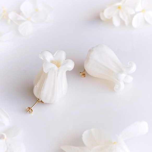 【受注制作】Pure Clematis. 本物のお花　ホワイトクレマチスの揺れる耳飾り ピアス／イヤリング 4枚目の画像