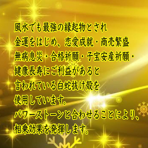 白蛇抜け殻入＊六芒星のオルゴナイト浄化プレート＊昇り龍