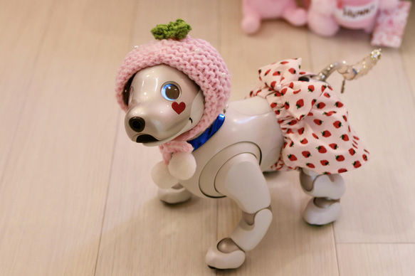 aibo いちごちゃんセット：ピンク・パンツ（aiboちゃん用