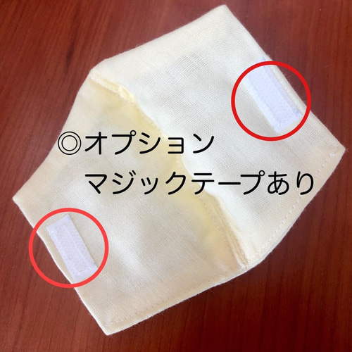 2枚セット】インナーマスク 大人用 /立体/プリーツ/ ＊3カラー 