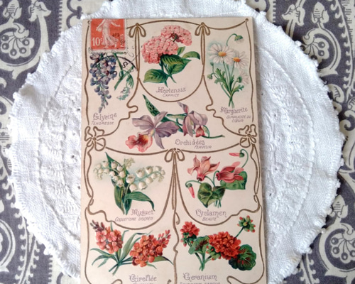 エンボス加工のアンティークポストカードC 植物図鑑 その他素材 水星