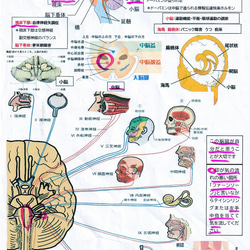 遠隔気功　電話をかけながら行います　2回分（1回30分） 1枚目の画像