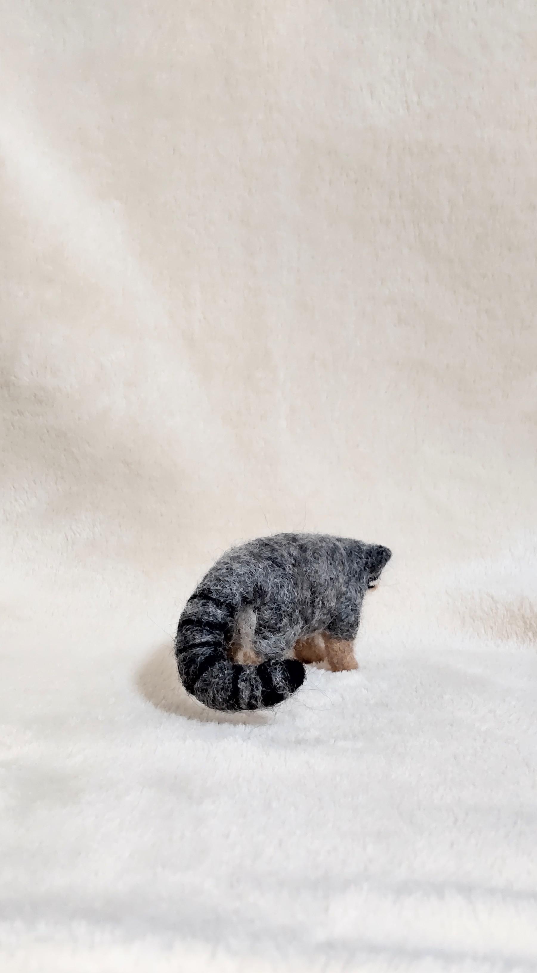 羊毛フェルト　マヌルネコ 羊毛フェルト マヌルネコ 羊毛フェルト りすすのす 通販