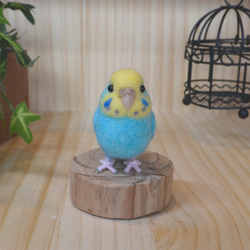 セキセイインコグリーン（小さなガラスドーム） 羊毛フェルト