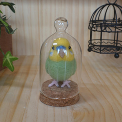 セキセイインコグリーン（小さなガラスドーム） 羊毛フェルト
