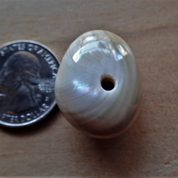 沖繩頭巾貝珠變形卵石型大G 第14張的照片