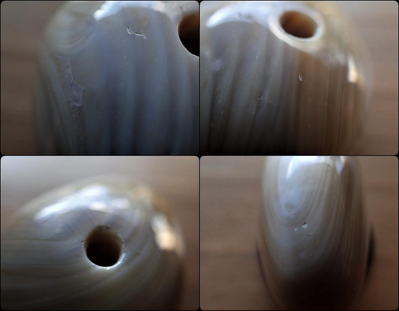 沖繩頭巾貝珠變形卵石型大G 第13張的照片