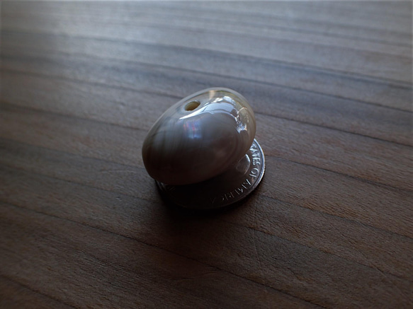 沖繩頭巾貝珠變形卵石型大G 第5張的照片