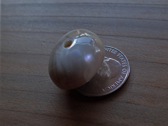 沖繩頭巾貝珠變形卵石型大G 第1張的照片