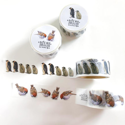 マスキングテープ　ぺんぎんの巻 2枚目の画像