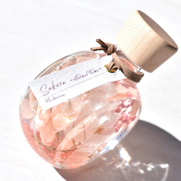 本物のさくら【桜ハーバリウム】『NATURAL SCENE』桜・悠久の時　＊メッセージカード無料 人気・おすすめ｜使いやすい・旅行におすすめ 品質保証 全国発送 日本国内発送・最短翌日お届け