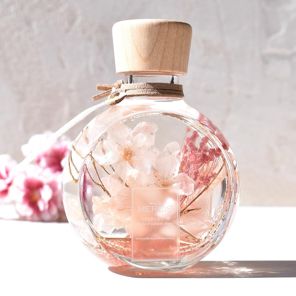 本物のさくら【桜ハーバリウム】『NATURAL SCENE』桜・悠久の時　＊メッセージカード無料 人気・おすすめ｜使いやすい・旅行におすすめ 品質保証 全国発送 日本国内発送・最短翌日お届け